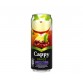 Cappy (33 cl.)